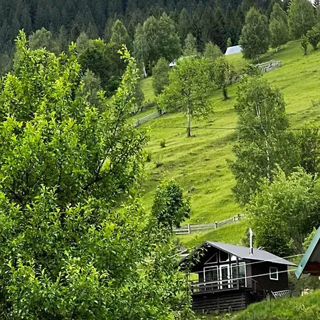 файна хата 4 Сasa de vacaciones Synevyrsʼka Polyana